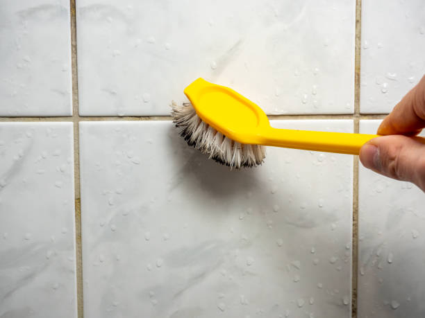 Best Mold Remediation  in North Wildwood, NJ