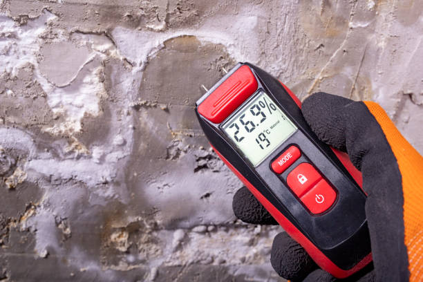Best Commercial Mold Removal  in North Wildwood, NJ