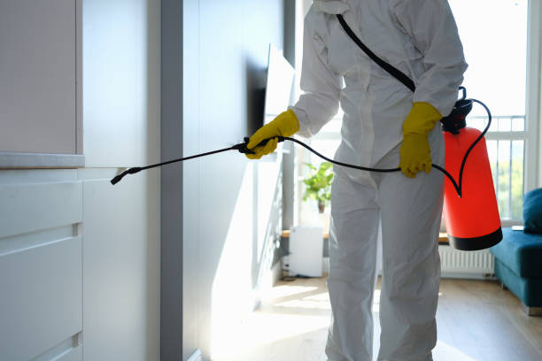 Best Water Damage Restoration  in North Wildwood, NJ