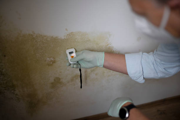 Best Crawl Space Mold Removal  in North Wildwood, NJ