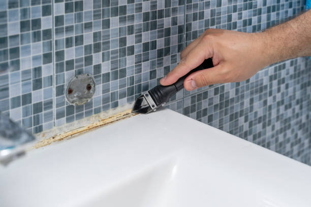 Best Attic Mold Removal  in North Wildwood, NJ