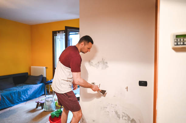 Best Professional Mold Removal  in North Wildwood, NJ