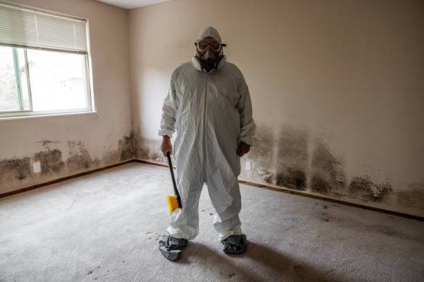 Mold Testing and Removal in North Wildwood, NJ