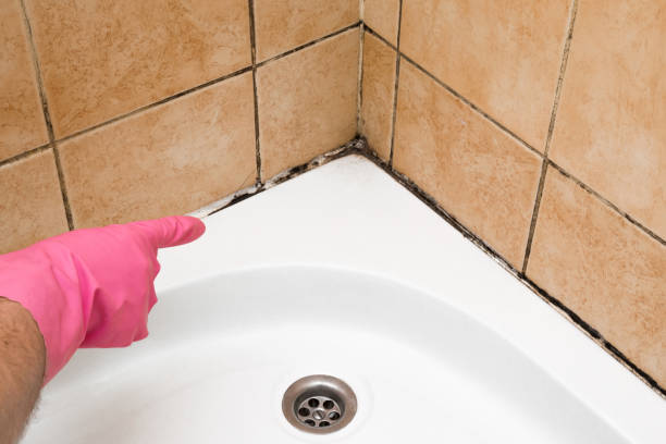 Best Office Mold Removal Services  in North Wildwood, NJ